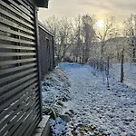 Ohuta-barn Vendeghaz *