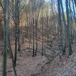 Ohuta-barn *