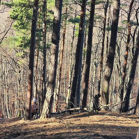 Ohuta-barn Vendeghaz 度假居 Parád