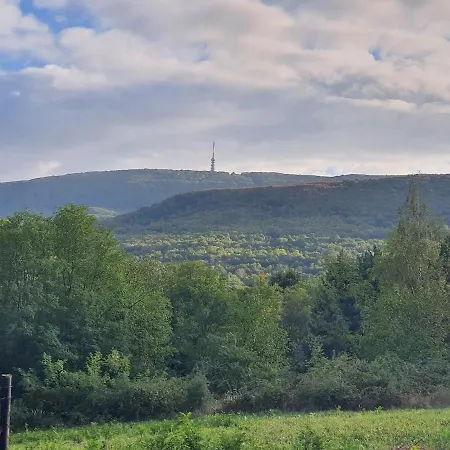 Ohuta-barn Vendeghaz Parád