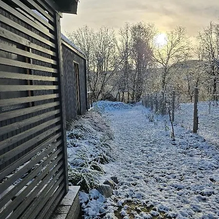 Ohuta-barn Vendeghaz *