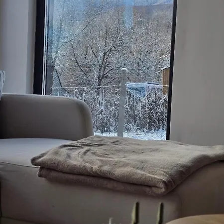 Ohuta-barn Vendeghaz Parád
