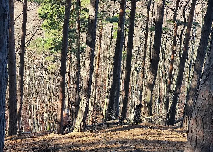 Ohuta-barn Vendeghaz 度假居 Parád