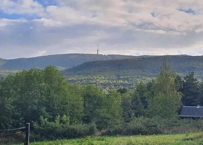 Ohuta-barn Vendeghaz Parád