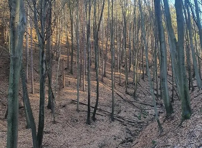 Ohuta-barn Vendeghaz *