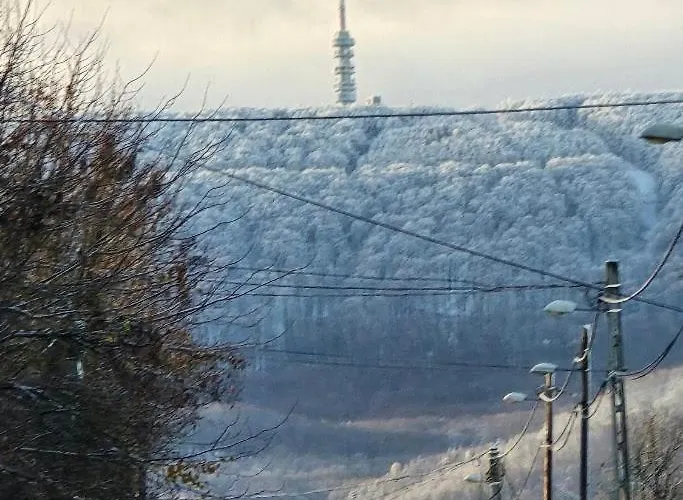 Ohuta-barn Vendeghaz